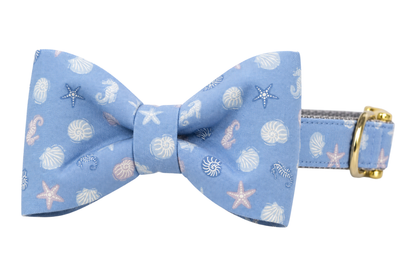 Classic dog collar featuring a Blue Sea Shells fabric bow tie, a periwinkle blue fabric with small white seashells and starfish, attached to a matching Blue Sea Shells collar with a nylon inner lining and gleaming gold hardware, including a D-ring and buckle.