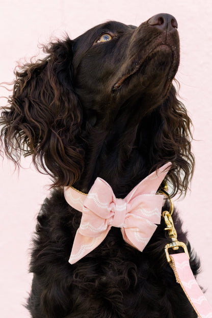 Spaniel-type dog with fluffy ears and a glossy coat, dressed in a blush pink with delicate white waves belle bow collar set and matching leash, gazing up against a pale background.