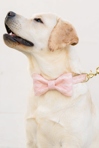 Labrador Retriever looking upward with a gentle expression, wearing a soft pink bow tie collar set and matching leash with a subtle white wave pattern.