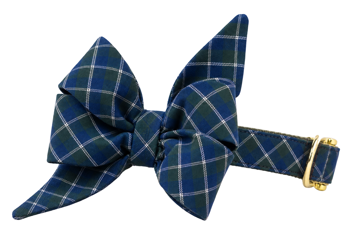 Dog collar featuring a large belle bow in Book Club fabric, a navy blue tartan with thin green and white windowpane lines, attached to a matching Book Club collar with a nylon inner lining and gleaming gold hardware, including a D-ring and buckle.