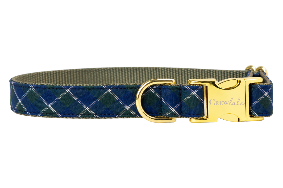 Plain Book Club dog collar without the bow, made with a navy blue tartan with thin green and white windowpane lines, lined with olive gray nylon webbing and gold hardware with a Crewlala logo buckle.