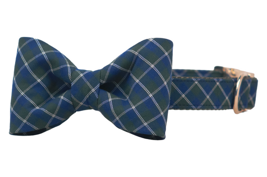 A green and navy blue plaid dog collar with a matching attached bow tie. The bow tie is centered and neatly shaped, while the collar includes a metal buckle and loop on the right side.