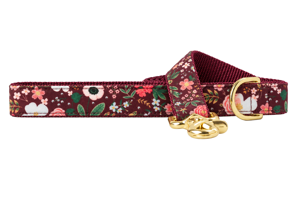 Bordeaux Blooms dog leash made with a deep burgundy wine floral print with pink and peach roses, white flowers and green leaves, lined with burgundy nylon webbing, with a handle loop and a gold trigger clip.