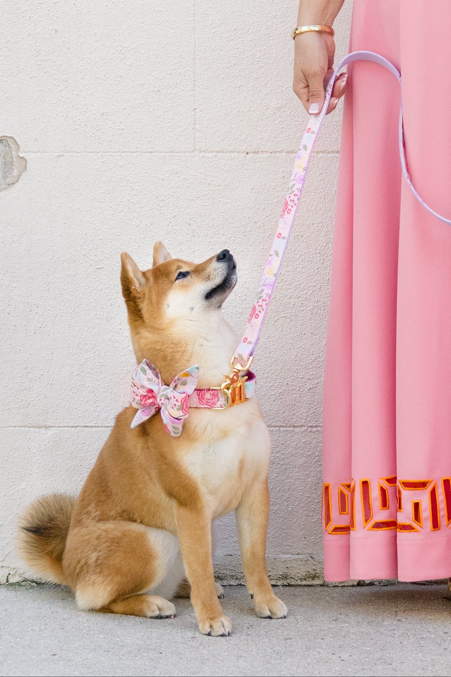 A woman in a long dress with a small Shiba Inu wearing a matching pink belle bow collar and floral leash.