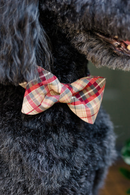 A detailed view of a plaid bow tie dog collar in cozy fall tones resting against the thick, curly fur of a dog. 