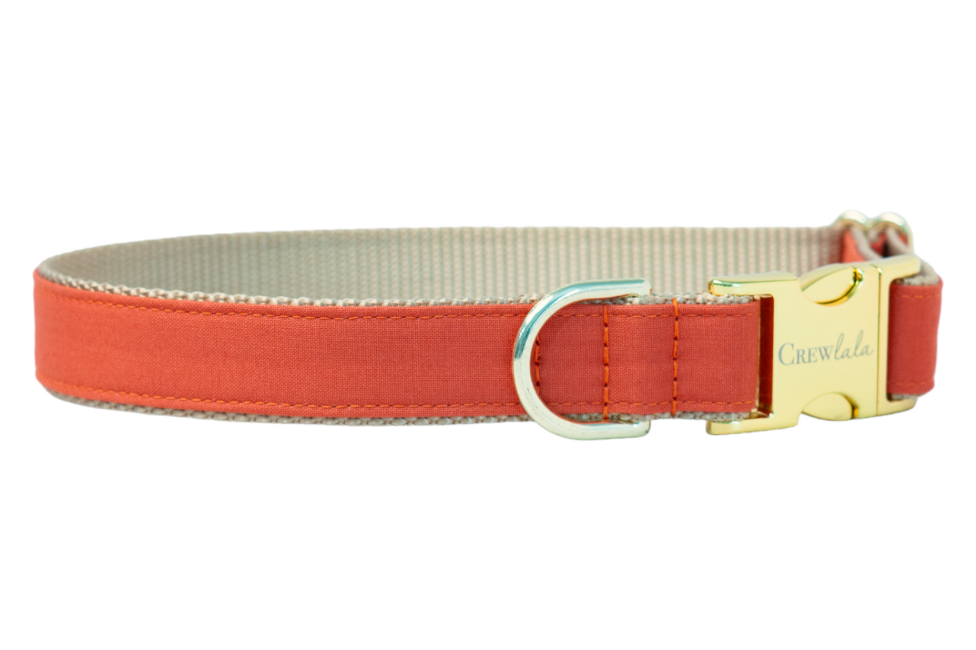 Burnt orange dog collar with polished buckle, a warm autumn accessory perfect for fall walks and Halloween flair.