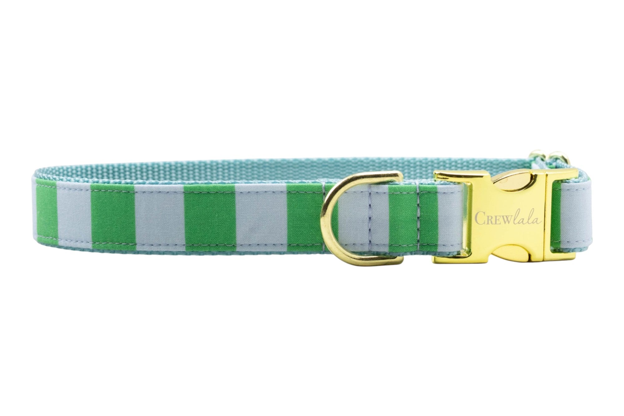 Green and light blue striped dog collar with a gold buckle and D-ring, shown against a plain background.