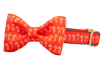 Dog collar with an attached bow tie in a coordinating red fabric adorned with candy cane illustrations. The structured bow adds a festive flair, while the collar has polished hardware, making it ideal for seasonal celebrations.