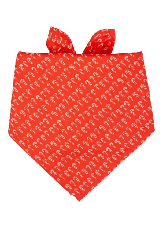 Christmas-themed dog bandana made from red fabric covered in a pattern of miniature candy cane illustrations. The bandana is folded like an inverted triangle and includes a folded edge at the top, designed for adjustable tying around a pet’s neck.