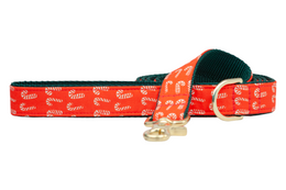 Candy Lane Dog Leash