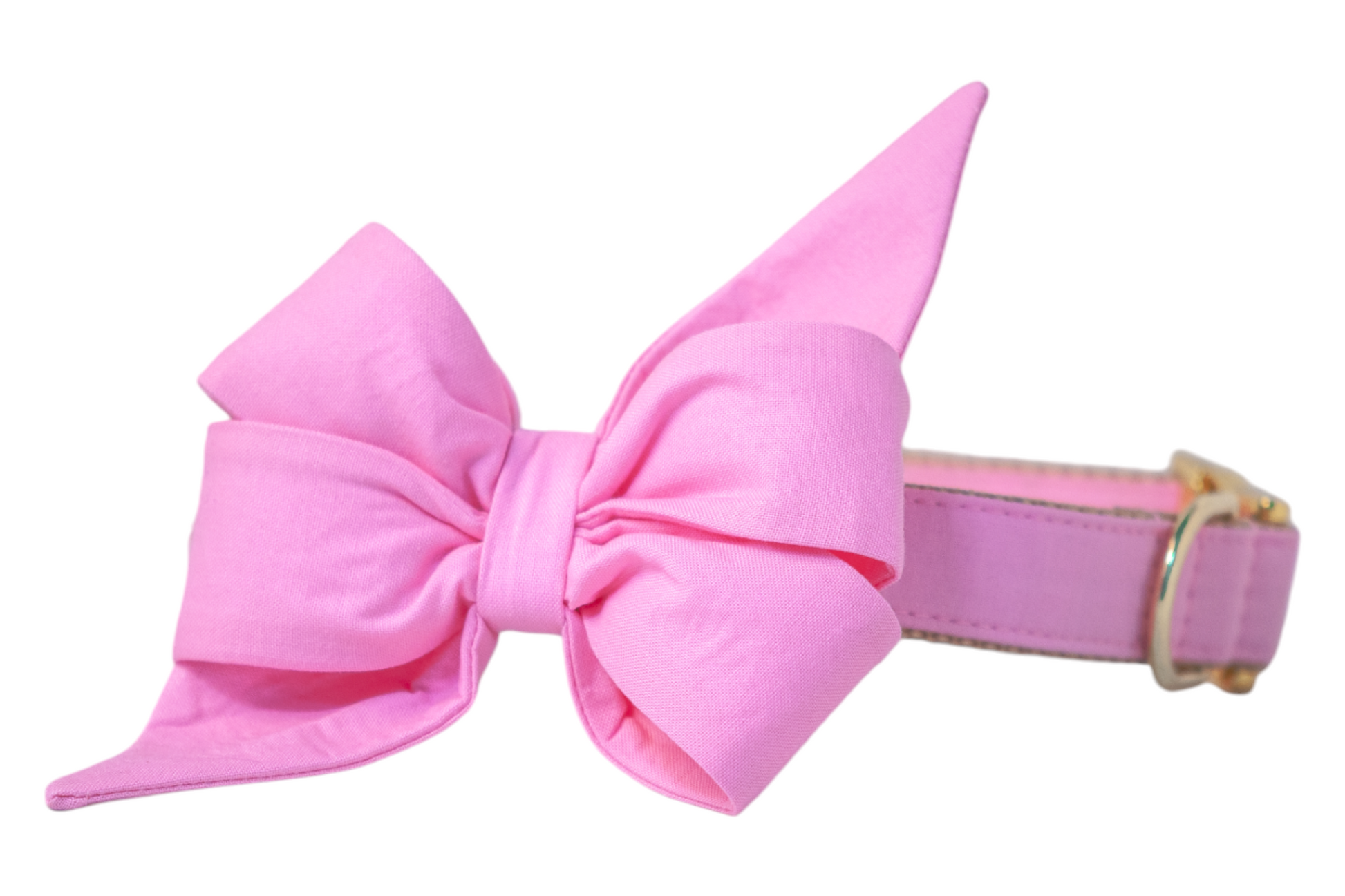 A feminine dog collar in bold pink, paired with an exaggerated belle bow that fans outward in layered loops and sharp ends. Crafted from smooth fabric and accented by shiny gold hardware, this piece combines statement fashion and practicality.