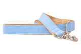Carolina Blue Dog Leash
