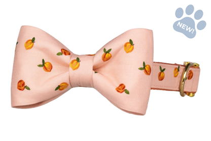 Dog collar with a peach-patterned bow tie on a soft pink background, paired with a coordinating adjustable collar and gold-colored metal hardware