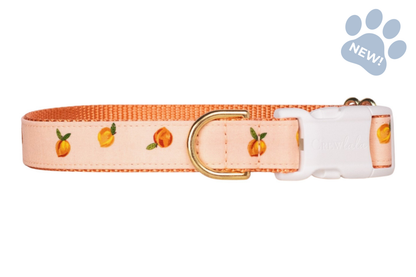 Adjustable dog collar in soft peach with a scattered peach fruit print, featuring an orange lining and gold-tone buckle and D-ring hardware.