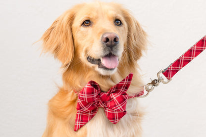 A light golden dog with long fur sits, wearing a red tartan belle bow collar attached to a matching leash. The large plaid belle bow adds a festive and stylish touch to the dog’s cheerful, open-mouthed pose. Handmade in Charleston, SC.