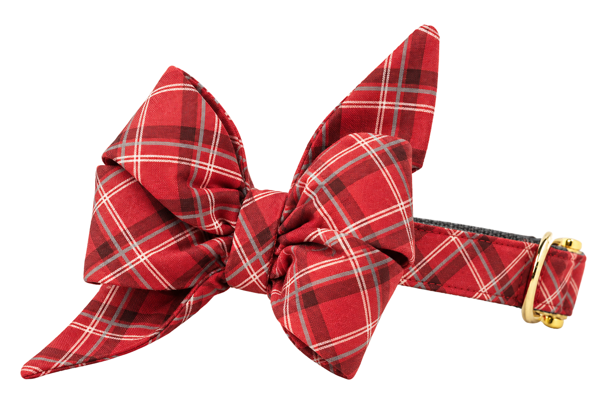 Dog collar featuring a large belle bow in Charlies Plaid fabric, a coral red tartan with thin white and charcoal lines, attached to a matching Charlies Plaid collar with a nylon inner lining and gleaming gold hardware, including a D-ring and buckle.