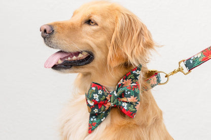 Side view of a cheerful, dog wearing a holiday belle bow dog collar and matching leash. The oversized belle bow features a vibrant Christmas floral pattern with poinsettias, blooms, pinecones, and green foliage on a dark green background. The dog looks alert and content, sitting against a plain light wall.