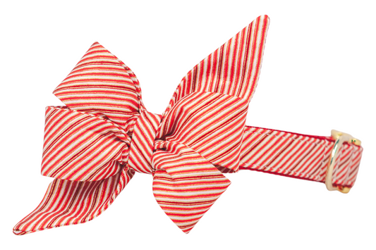 Holiday dog collar with a bold candy-cane inspired design, showcasing diagonal red,  pinstripes. Attached is a large feminine  belle bow with dramatic pointed ends and layered folds for volume. The collar is finished with polished metal hardware and adjustable strap.