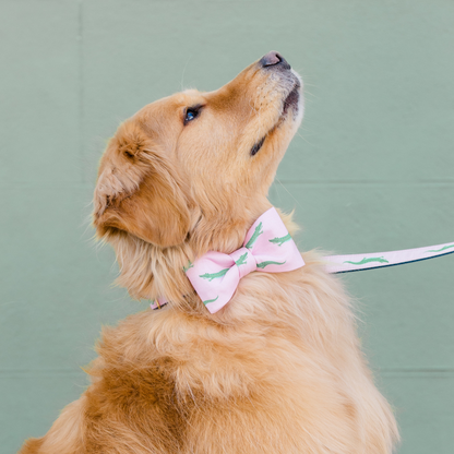 Side view of a golden retriever wearing a pastel pink bow tie with green crocodile prints, paired with a matching leash. The dog’s head is tilted upward, and the soft green background complements the preppy, coastal-themed outfit.