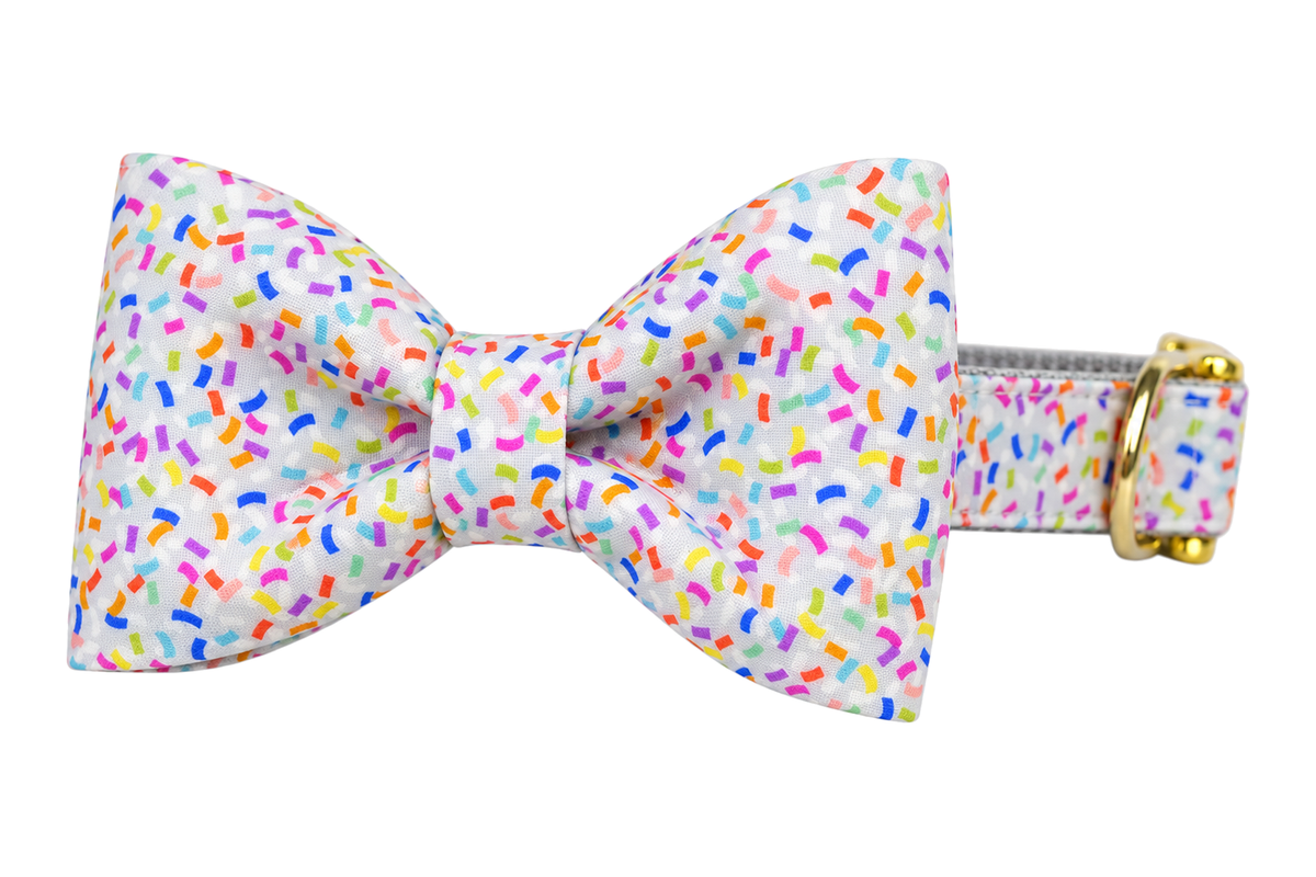 Classic dog collar featuring a Confetti Pop fabric bow tie, an off-white print with colorful confetti sprinkles in pink, purple, blue, yellow and orange, attached to a matching Confetti Pop collar with a nylon inner lining and gleaming gold hardware, including a D-ring and buckle.