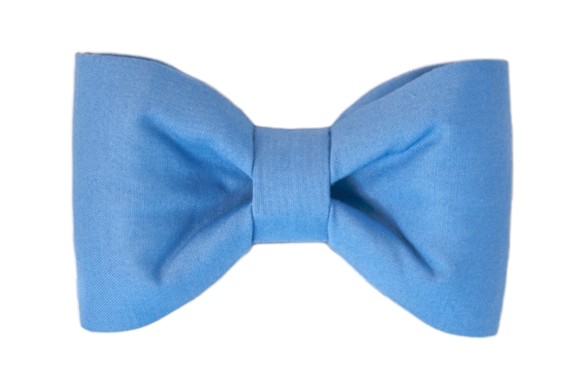Solid Royal blue fabric dog bow tie with a traditional design, featuring two wide, puffed loops and a narrow band at the center. The crisp edges and balanced form give it a clean, polished look.