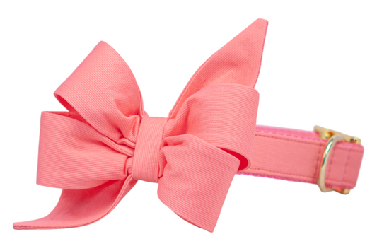 A coral dog collar with an attached oversized feminine belle bow made from soft fabric. The belle bow features full, sculpted loops and pointed tails, adding a dramatic, stylish flair. The collar is finished with gold-tone hardware, including a buckle and D-ring.