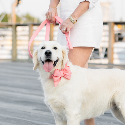 A white golden retriever stands on a boardwalk beside a person in a white outfit, wearing a coral belle bow dog collar and matching leash. The dog looks happy with its tongue out and tail wagging, styled for a cheerful, summery walk.