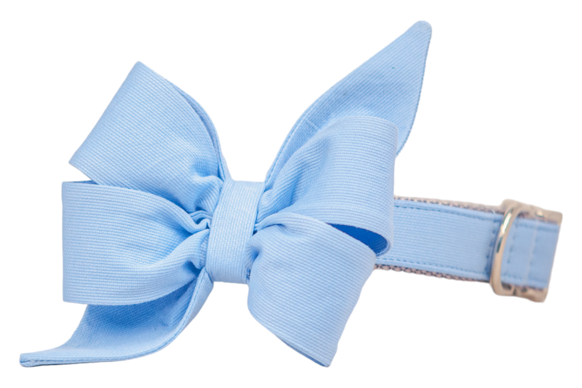 Chic and playful dog collar in soft light blue, featuring a bold statement feminine belle bow and shiny gold accents—perfect for special occasions or stylish strolls.