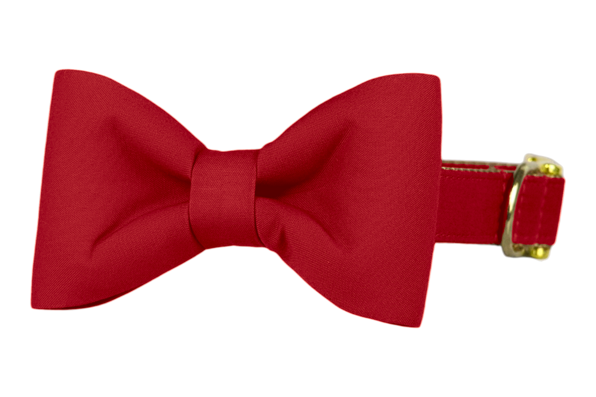 Classic dog collar featuring a solid cranberry red fabric bow tie, attached to a matching cranberry red collar with a nylon inner lining and gleaming gold hardware, including a D-ring and buckle.