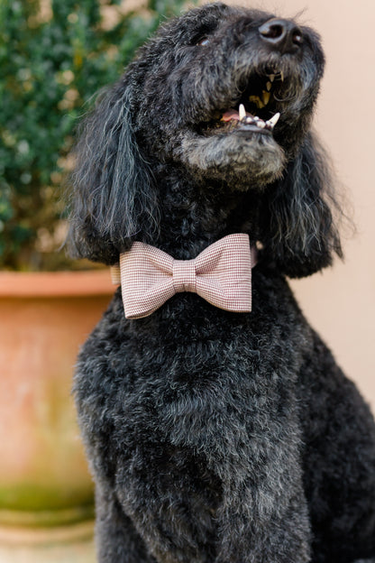 Close-up of a cheerful poodle mix wearing a classic bow tie collar in a burgundy houndstooth print, with a blurred potted plant in the background.
