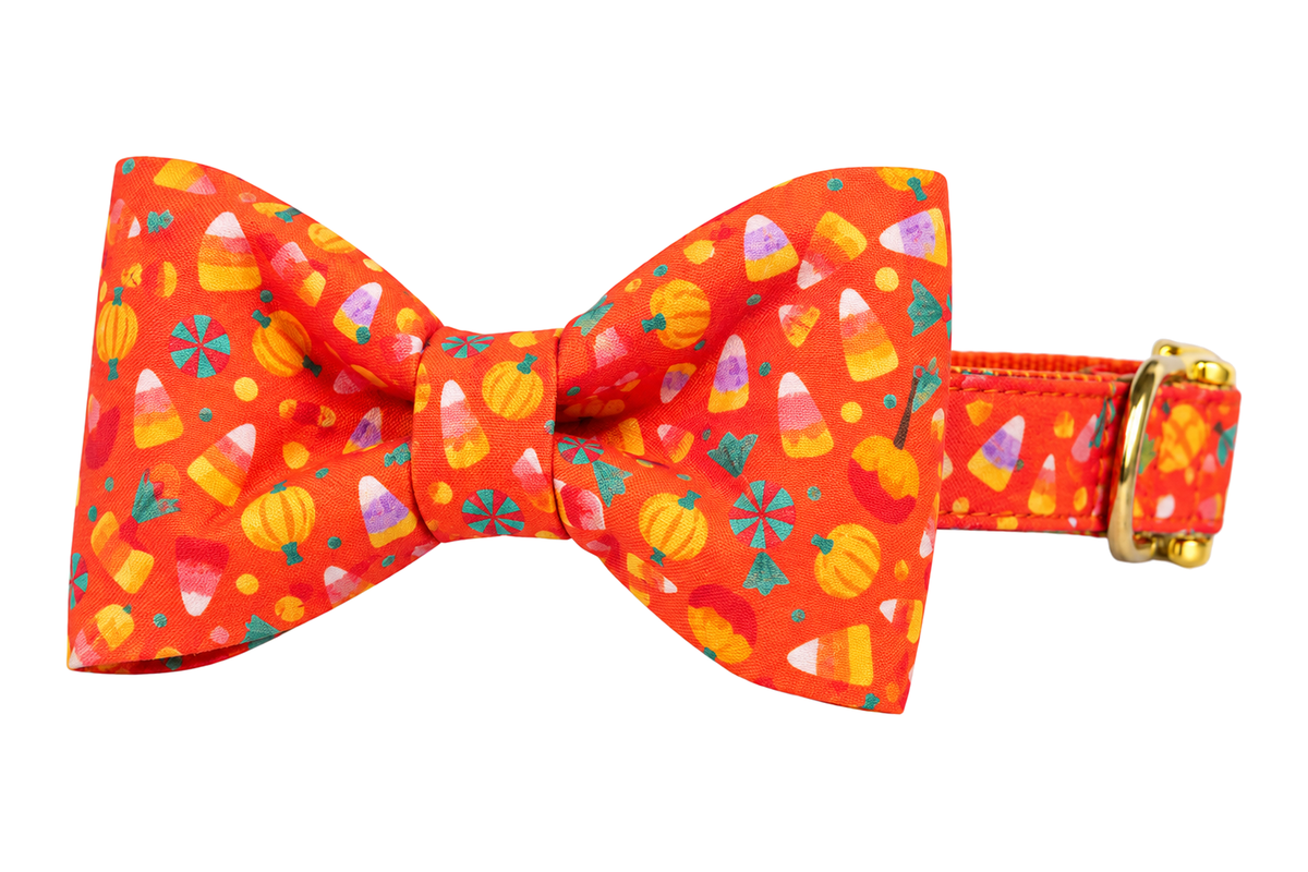 Classic dog collar featuring a Cute and Corny fabric bow tie, a bright orange-red print with candy corn, small pumpkins and colorful Halloween candies, attached to a matching Cute and Corny collar with a nylon inner lining and gleaming gold hardware, including a D-ring and buckle.