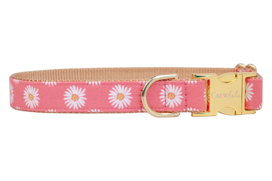 Floral-patterned dog collar in a pink color, covered in cheerful daisy blooms with crisp white petals and golden centers. The collar has a tan inner lining and is secured with elegant gold hardware.