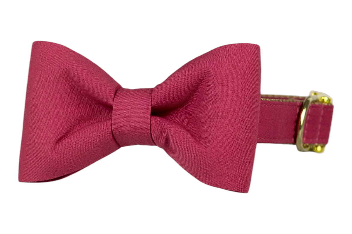 Classic dog collar featuring a solid deep rose fabric bow tie, attached to a matching deep rose collar with a nylon inner lining and gleaming gold hardware, including a D-ring and buckle.