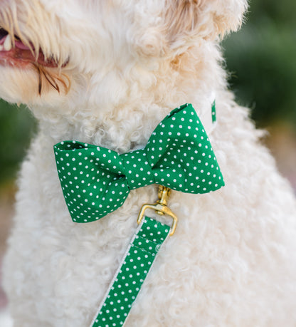 A close-up of a fluffy white dog wearing a green bow tie with white polka dots, attached to a matching collar and leash set. The leash features a gold clasp connected to a D-ring on the collar, and the fabric has a clean stitched finish.