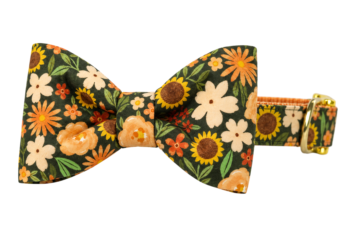 Classic dog collar featuring a Fall Fields fabric bow tie, a dark olive green print with golden sunflowers, peach and cream blooms and orange flowers, attached to a matching Fall Fields collar with a nylon inner lining and gleaming gold hardware, including a D-ring and buckle.