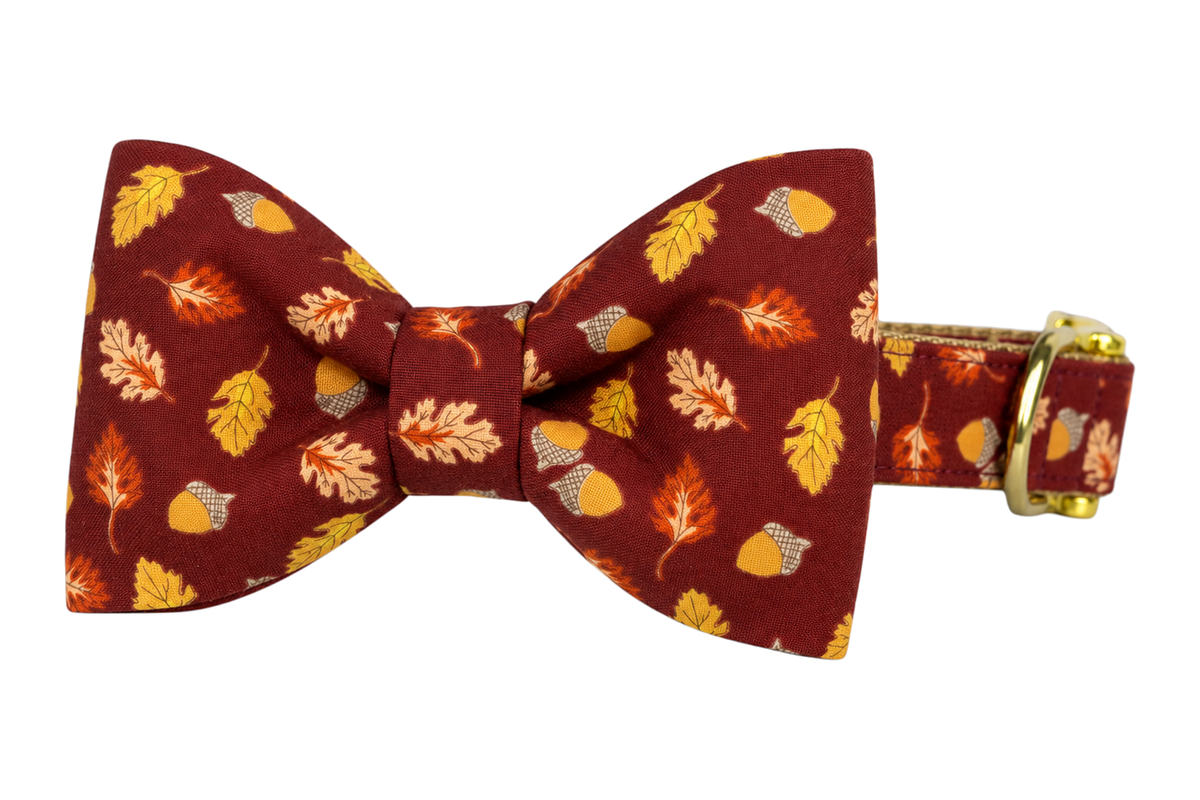Classic dog collar featuring a Falling For You fabric bow tie, a deep burgundy print with golden, orange and tan autumn leaves and acorns, attached to a matching Falling For You collar with a nylon inner lining and gleaming gold hardware, including a D-ring and buckle.
