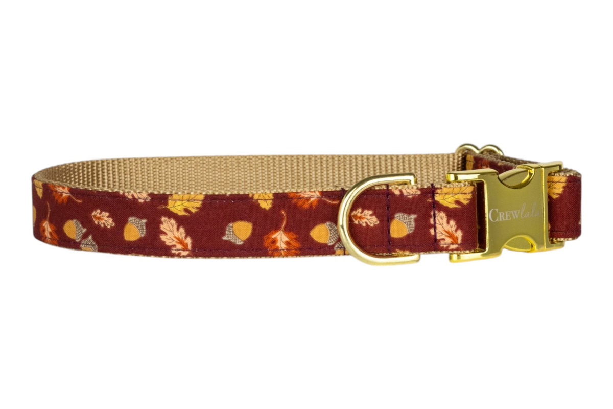 Falling For You dog collar with nylon inner lining, D-ring and buckle - Crew LaLa