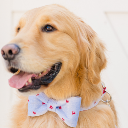 A happy golden retriever poses in a pale blue bow tie and matching collar adorned with a repeating red crab pattern. The dog’s mouth is open in a relaxed expression, and a matching collar with silver hardware is visible around its neck.
