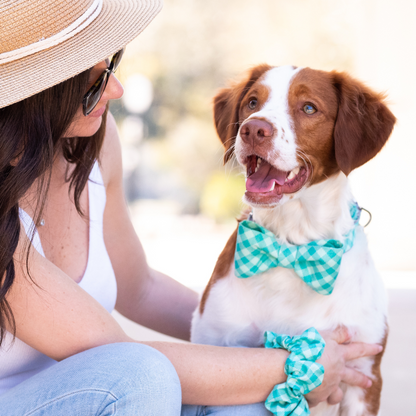 A brown and white dog wearing a green plaid bow tie collar sits happily beside a woman. The woman wears a matching green plaid scrunchie on her wrist, creating a coordinated pet-and-owner look.