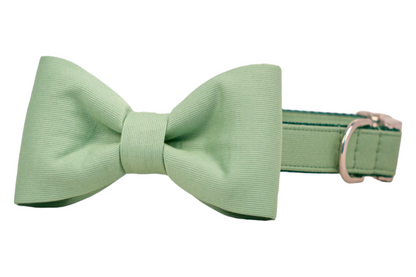 A stylish soft green dog collar with an attached matching bow tie made from the same fabric. The bow is symmetrically shaped with subtle texture, and the collar includes a metal D-ring and a shiny buckle, blending function with a formal, dapper look.