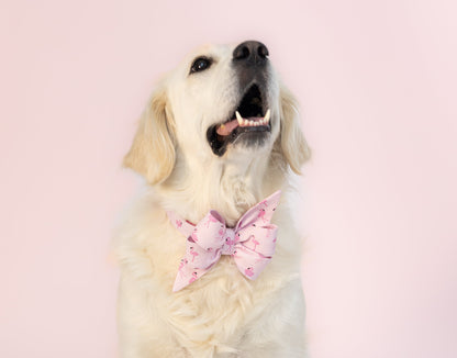 Golden Retriever with a long, wavy white coat sits elegantly on a pastel pink studio floor. The dog wears a vibrant pink belle bow dog collar covered in small flamingos and gazes upward with a cheerful, open-mouthed smile, creating a playful and polished portrait.