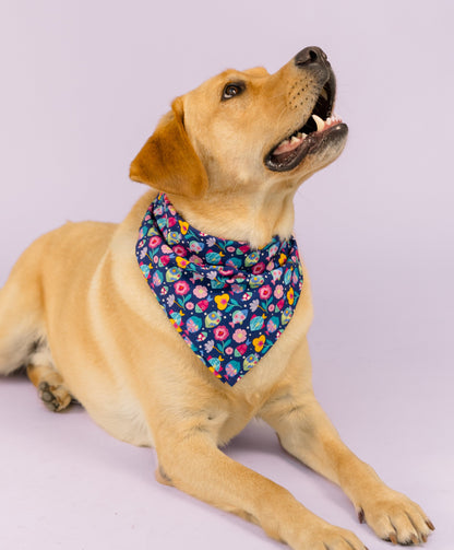 Yellow Labrador resting on a light purple floor, wearing a dark blue bandana covered in a bright and whimsical pattern of flowers and fish. The dog's head is tilted up in a happy pose.