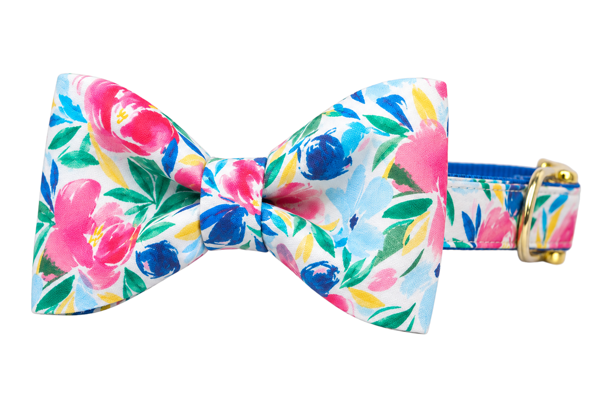 Classic dog collar featuring a Floral Gallery fabric bow tie, a white print with painterly bold pink, blue, teal and yellow watercolor flowers and green leaves, attached to a matching Floral Gallery collar with a nylon inner lining and gleaming gold hardware, including a D-ring and buckle.