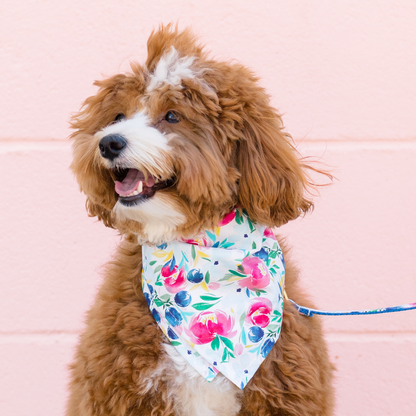 A fluffy brown and white dog smiles while wearing a white bandana with a vibrant floral print featuring pink, red, and blue flowers with green leaves and yellow accents. The dog is also attached to a matching floral leash and is posed in front of a soft pink wall.