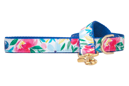 A vibrant dog collar featuring a multicolored floral print with pink, red, yellow, and blue flowers on a white background. The collar has a deep royal blue inner lining and edge stitching, with gold hardware including a D-ring and a clasp.