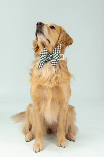 Oversized green picnic plaid belle bow dog collar with a crisp, classic pattern, perfect for stylish pups ready to dress up for fall gatherings, photos, or everyday charm.