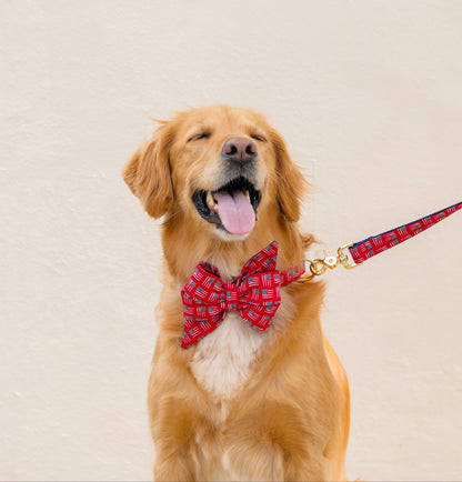 A retriever radiates joy in a red American flag belle bow collar set and coordinating leash, posed against a soft pale backdrop. A fun, patriotic accessory set designed for Fourth of July, Memorial Day, or year-round Americana vibes.