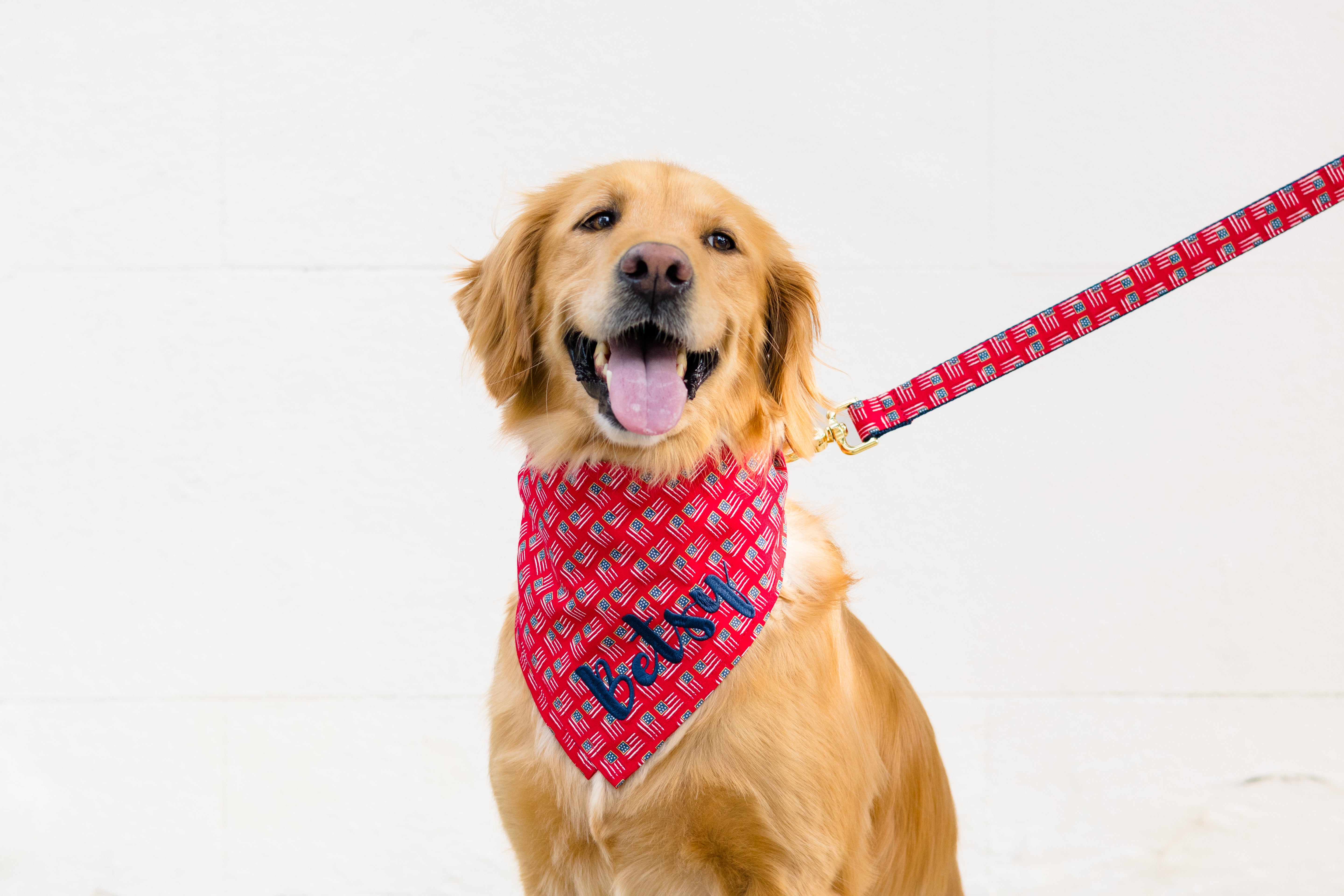 Retriever smiling brightly while wearing a red bandana patterned with small American flags and embroidered with the name "Betsy," paired with a matching leash. A perfect patriotic look for personalized pet accessories and Fourth of July celebrations.
