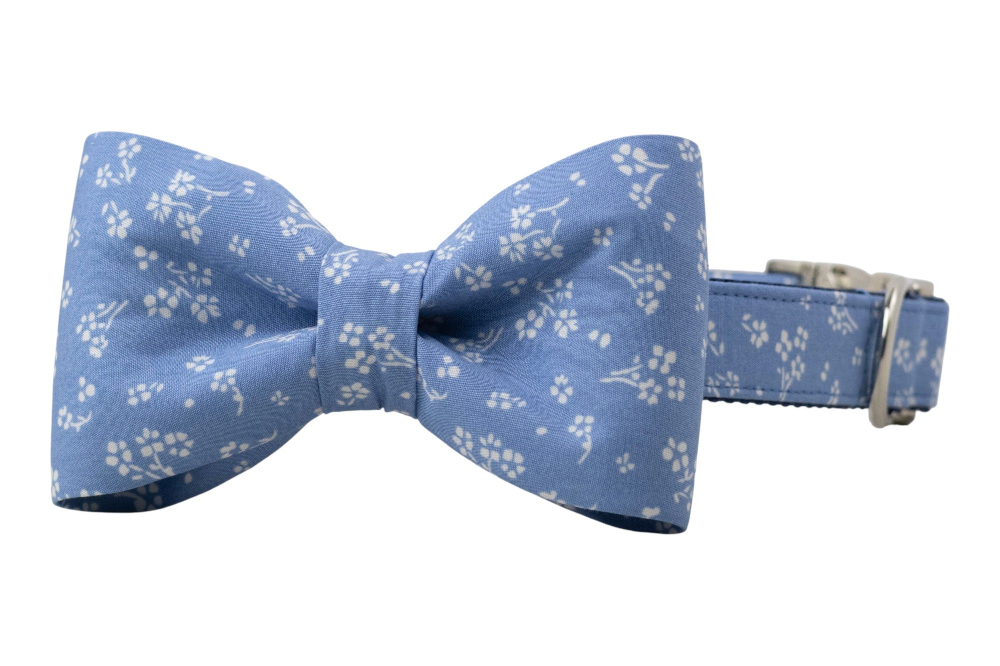 Stylish dog collar with a matching blue bow tie, decorated in a delicate flower pattern and secured with silver hardware.