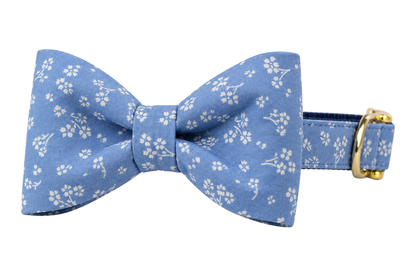 Classic dog collar featuring a French Blue Blooms fabric bow tie, a French blue chambray fabric with small white ditsy flower clusters, attached to a matching French Blue Blooms collar with a nylon inner lining and gleaming gold hardware, including a D-ring and buckle.